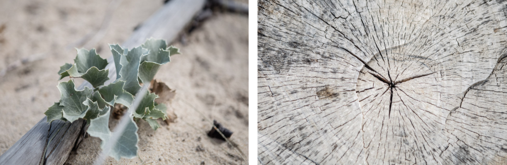 Boho Surfing Wedding at Les Landes Miami Wedding Planner The Creatives Loft and International Wedding Photographers Vasver Studio