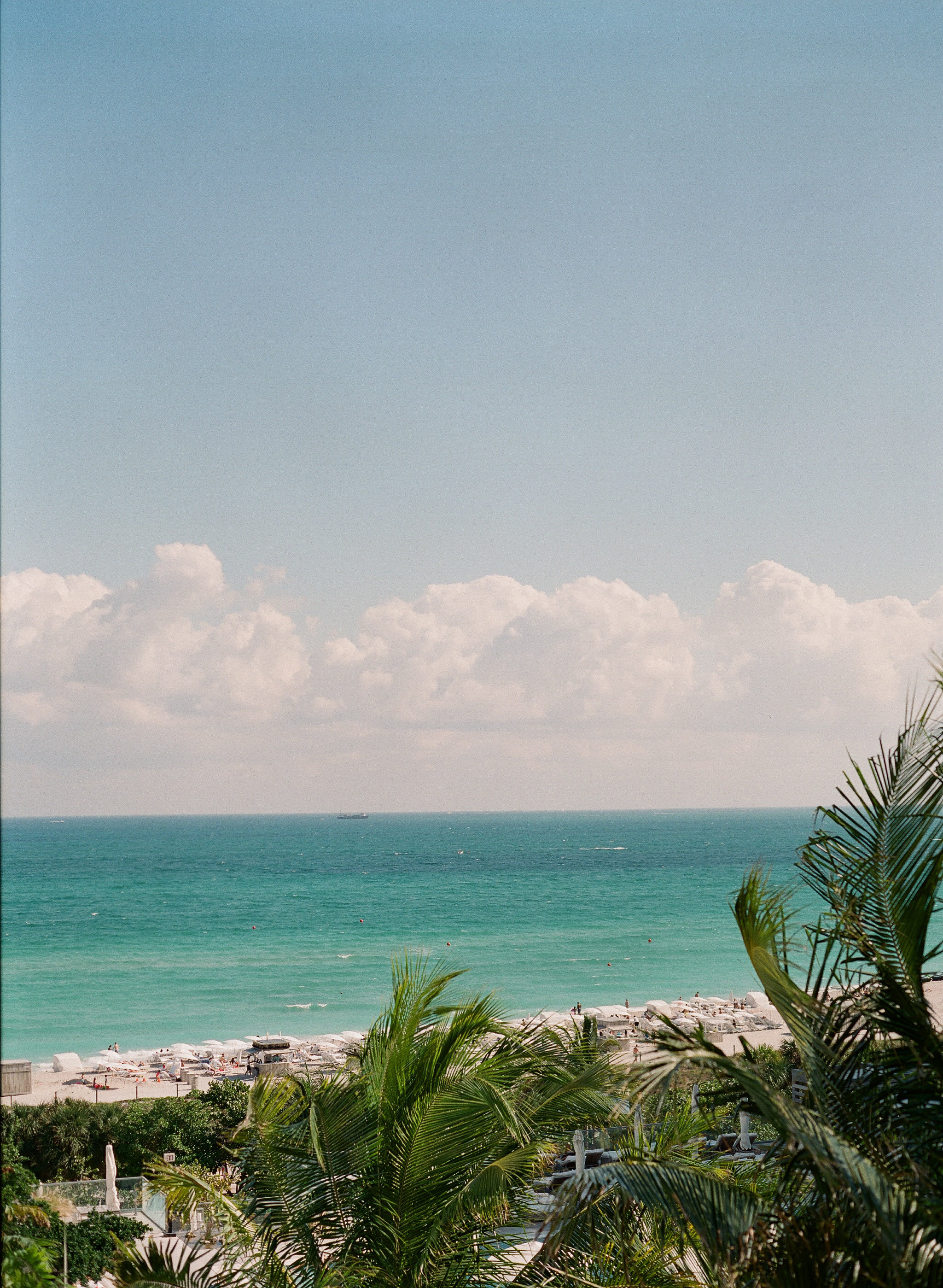 Boho Chic Garden Wedding in Miami Beach Botanical Gardens Florida The Creatives Loft Wedding Planning Studio