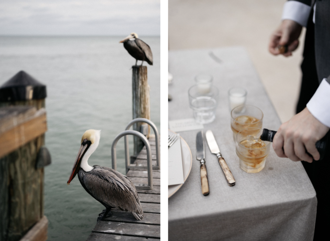 A pelican and a guest pouring whisky