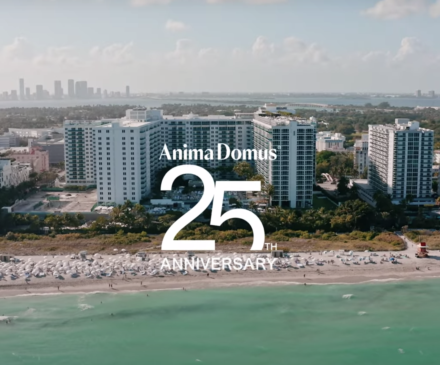 A general view of Miami Beach and the 1 Hotel from the ocean