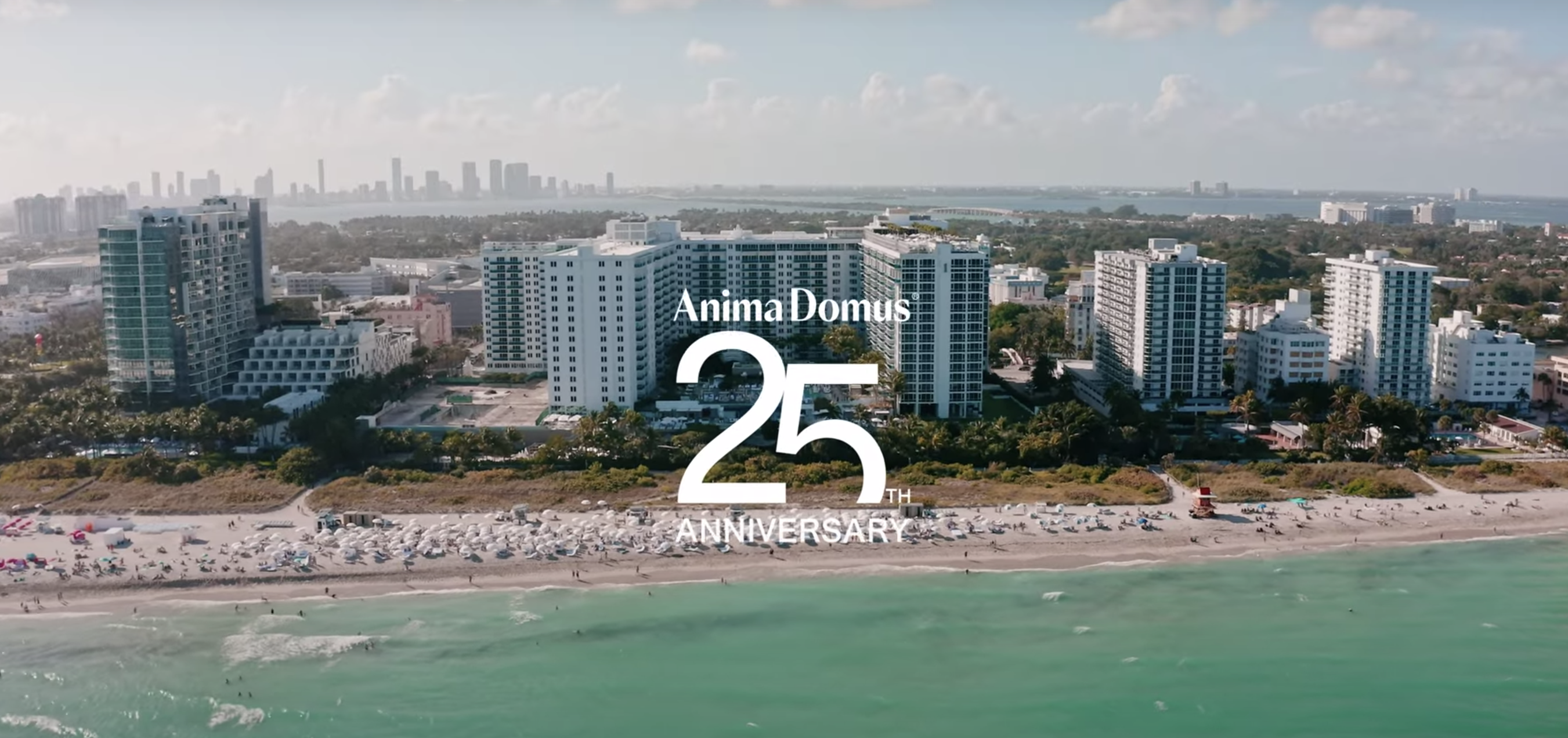 A general view of Miami Beach and the 1 Hotel from the ocean